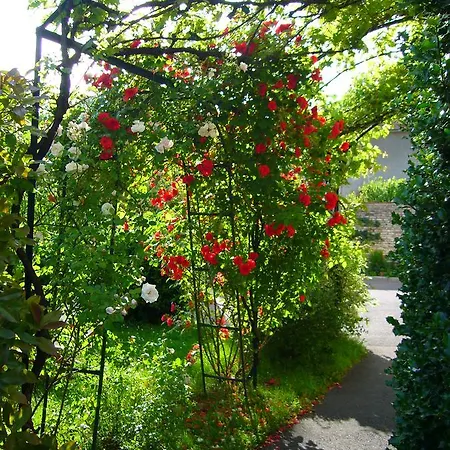 Hotel La Fleurie Beaune (Cote d'Or)