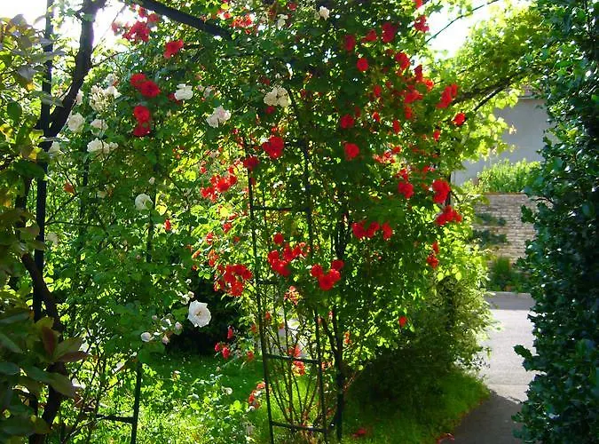 Otel La Fleurie Beaune (Cote d'Or)